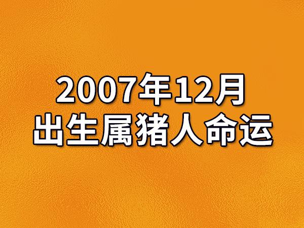 2007年12月出生属猪人命运(农历,爱情,事业运势解析)_吉星堂