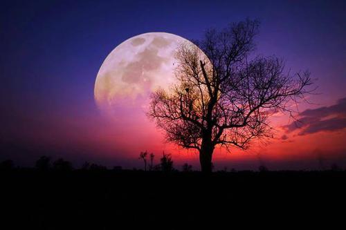 美得一塌糊涂的中秋意境:古诗词 月亮照片_明月
